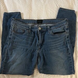 Hudson Jeans Indigo Skinny Jeans